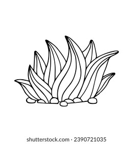 Sketch, doodle of a blooming cactus, succulent. Vector graphics.