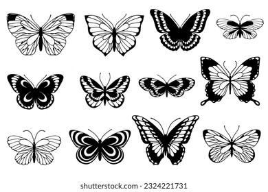 Sketch, doodle butterfly, night moth.Vector graphics.