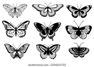 Esbozo, mariposa doodle, polilla nocturna.Gráficos vectores.