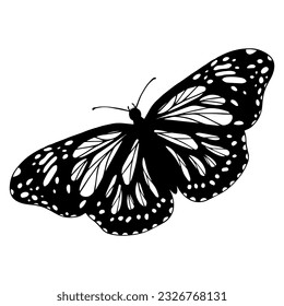 Skizze, doodle Schmetterling, Nachtmotte.Vektorgrafik.
