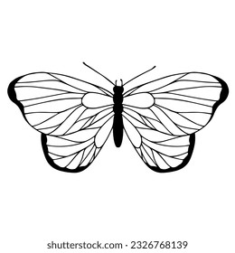 Sketch, doodle butterfly, night moth.Vector graphics.