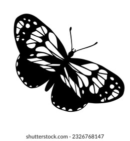 Sketch, doodle butterfly, night moth.Vector graphics.