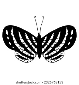 Sketch, doodle butterfly, night moth.Vector graphics.