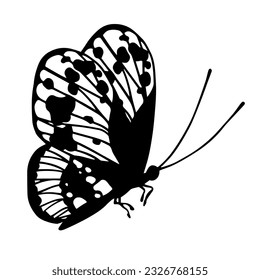 Sketch, doodle butterfly, night moth.Vector graphics.
