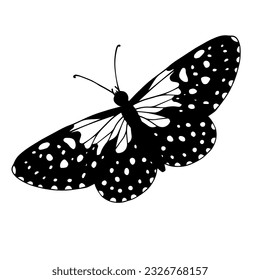 Sketch, doodle butterfly, night moth.Vector graphics.