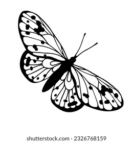 Sketch, doodle butterfly, night moth.Vector graphics.