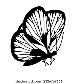 Sketch, doodle butterfly, night moth.Vector graphics.