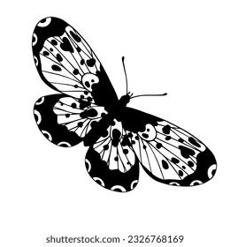 Sketch, doodle butterfly, night moth.Vector graphics.