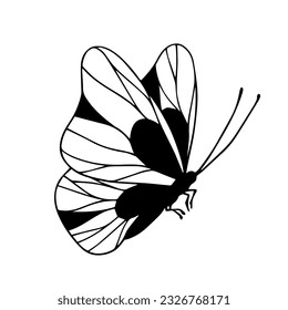 Esbozo, mariposa doodle, polilla nocturna.Gráficos vectores.