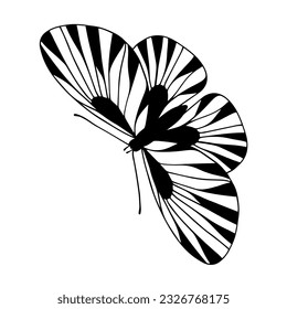 Sketch, doodle butterfly, night moth.Vector graphics.