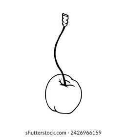 Sketch, doodle cherry berries. Vector graphics.