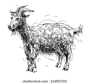sketch doodle drawing of goat or sheep, chinese lunar symbol 2015 year, black and white