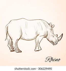 Sketch Doodle Drawing rhino, excellent vector illustration, EPS 10