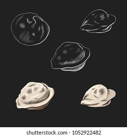 Sketch Doodle dumplings. Pelmeni. Dumplings. Diet. Kitchen. Dishes of national cuisine. Products from the dough and meat.