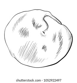 Sketch Doodle dumplings. Pelmeni. Dumplings. Diet. Kitchen. Dishes of national cuisine. Products from the dough and meat.