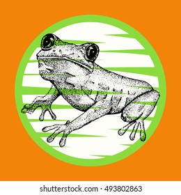 Sketch of doodle frog drawn by ink