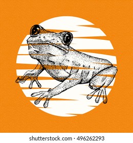 Sketch of doodle frog drawn by ink in pointillism style on the orange textured background