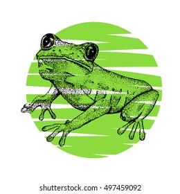 Sketch of doodle frog drawn by ink on the green background