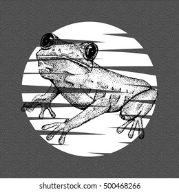 Sketch of doodle frog drawn by ink in pointillism style on the gray textured background.