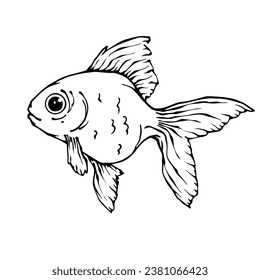 Sketch, doodle of a goldfish. Vector graphics.