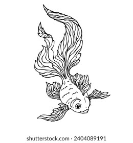 Sketch, doodle of a goldfish. Vector graphics.