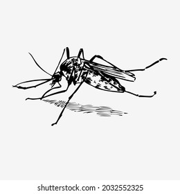 Sketch Doodle Hand Drawn Illustration Mosquito Stock Vector (Royalty ...