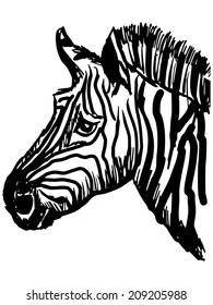 sketch, doodle, hand drawn illustration of zebra