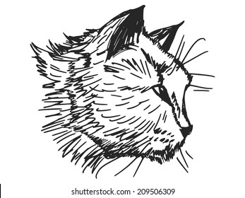 sketch, doodle, hand drawn illustration of cat