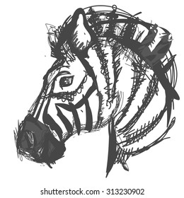 Sketch, doodle, hand drawn illustration of zebra