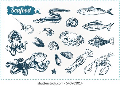 Sketch doodle icons seafood - fish, octopus, marine life, lobster. Isolated vector illustration. for design books, menus, packaging, scrapbooking. vintage