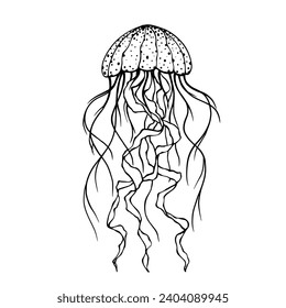 Sketch, doodle jellyfish. Vector graphics.