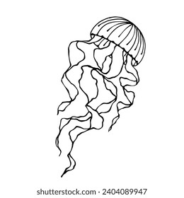 Sketch, doodle jellyfish. Vector graphics.