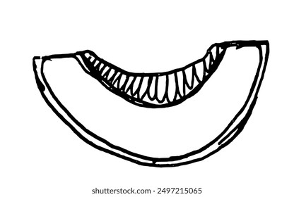 Sketch Doodle of Melon on white background. Doodle style. Vector illustration.