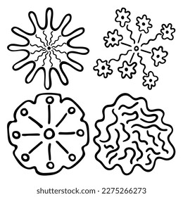 Sketch doodle outline flowers. Hand drawn drawing of plant buds during flowering. Petal silhouettes. Isolated vector.