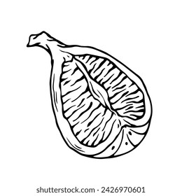 Sketch, doodle of a piece of fig fruit. Vector graphics.