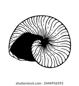 Sketch, doodle of a seashell. Decorative shell. Vector graphics.