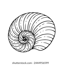 Dibujo, garabato de concha marina. Concha decorativa. Vector gráfico.