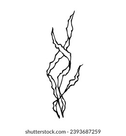 Sketch, doodle seaweed. Vector graphics.