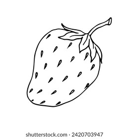 Sketch, doodle of summer strawberry.Vector graphics.