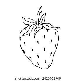 Sketch, doodle of summer strawberry.Vector graphics.