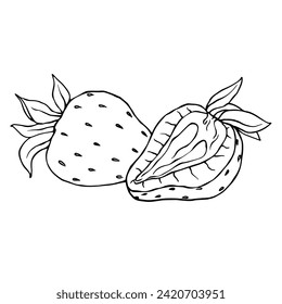 Sketch, doodle of summer strawberry.Vector graphics.