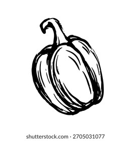 Sketch, doodle of a sweet pepper vegetable. Vector graphics.