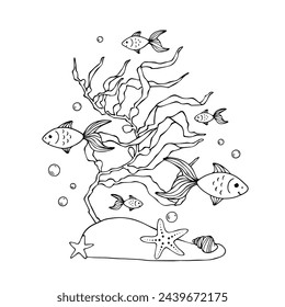 Sketch, doodles of algae with schools of fish. Vector graphics.