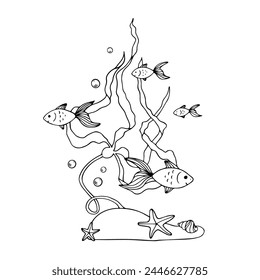 Sketch, doodles of algae with schools of fish. Vector graphics.	