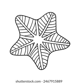 Sketch, doodles of a starfish. Vector graphics.