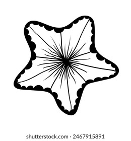 Sketch, doodles of a starfish. Vector graphics.