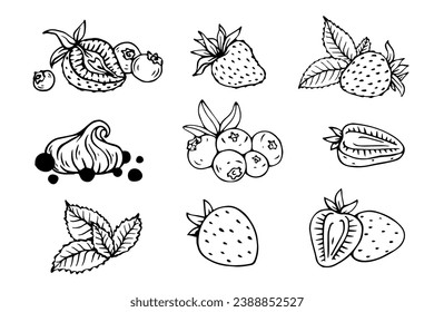 Sketch, doodles of strawberries, blueberries, pieces of fruit, mint leaves. Vector graphics.