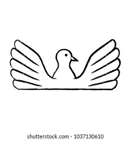 sketch of dove bird icon over white background, vector illutration