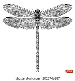 Sketch of dragonfly. Hand drawn ink vector illustration of insect on white background. Elements for label design, jewelry store.