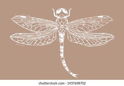 Sketch dragonfly silhouette stencil for decoration design print laser cut stamp. Vector paper art illustration. Vector paper cut card. Graphic element. Contour symbol.